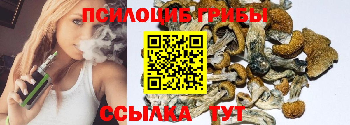 Галлюциногенные грибы ЛСД Чебоксары