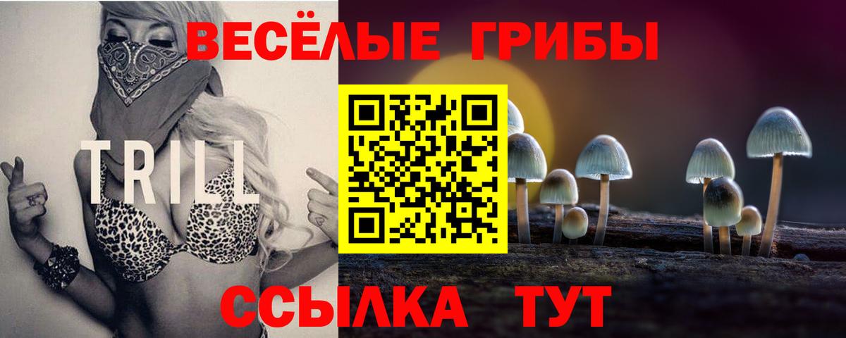 Чебоксары  Псилоцибиновые грибы MAGIC MUSHROOMS  Вход с VPN 